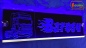 Preview: LED Namensschild Detailzeichnung Zugmaschine Gravur "Barosu" oder Wunschname auf Rechteckplatte - Truckerschild Neonschild Leuchtschild