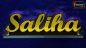 Preview: Ihr LED Wunschname "Saliha" Namensschild Leuchtschild Truckerschild