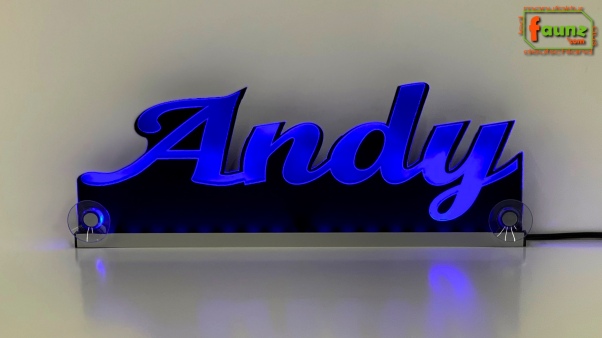 Ihr LED Wunschname "Andy" Namensschild Leuchtschild Truckerschild