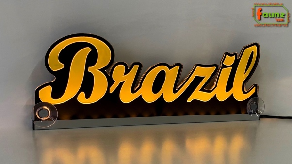 Ihr LED Wunschname "Brazil" Namensschild Leuchtschild Truckerschild als Konturschnitt