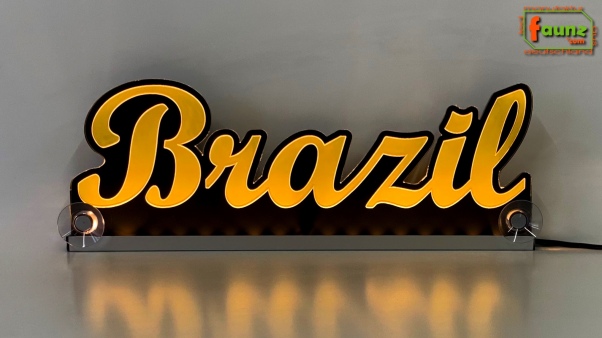 Ihr LED Wunschname "Brazil" Namensschild Leuchtschild Truckerschild als Konturschnitt