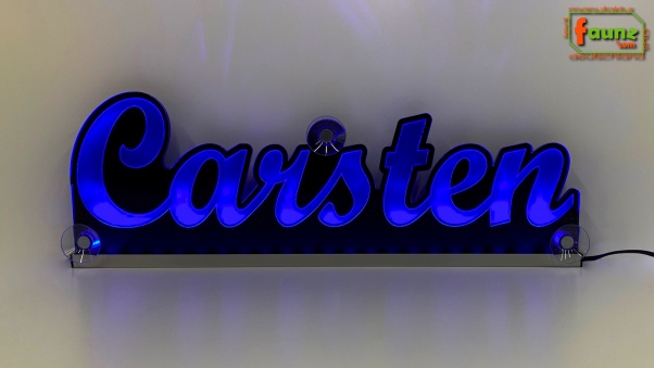 Ihr LED Wunschname "Carsten" Namensschild Leuchtschild Truckerschild als Konturschnitt