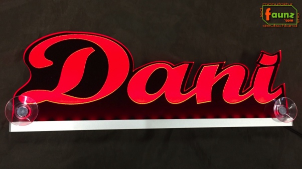 Ihr LED Wunschname "Dani" Namensschild Leuchtschild Truckerschild als Konturschnitt
