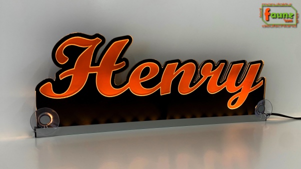 Ihr LED Wunschname "Henry" Namensschild Leuchtschild Truckerschild als Konturschnitt