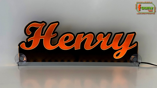 Ihr LED Wunschname "Henry" Namensschild Leuchtschild Truckerschild als Konturschnitt
