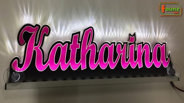 Ihr LED Wunschname "Katharina" Namensschild Leuchtschild Truckerschild