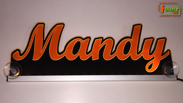 Ihr LED Wunschname "Mandy" Namensschild Leuchtschild Truckerschild