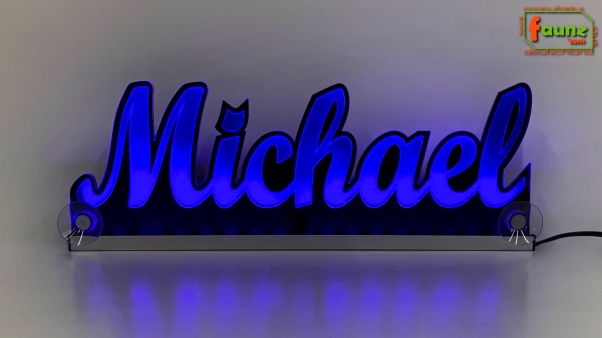 Ihr LED Wunschname "Michael" Namensschild Leuchtschild Truckerschild