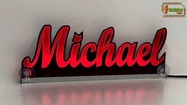 Ihr LED Wunschname "Michael" Namensschild Leuchtschild Truckerschild