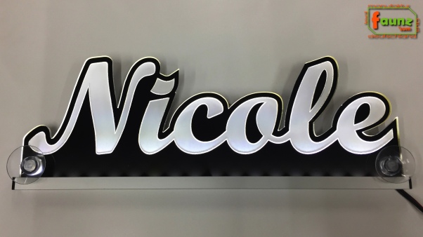 Ihr LED Wunschname "Nicole" Namensschild Leuchtschild Truckerschild