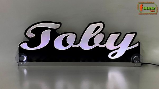 Ihr LED Wunschname "Toby" Namensschild Leuchtschild Truckerschild als Konturschnitt