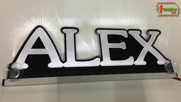 Ihr LED Wunschname "ALEX" Namensschild Leuchtschild Truckerschild Großbuchstaben als Konturschnitt