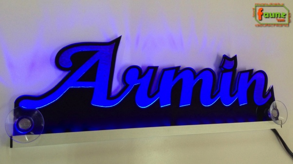 Ihr LED Wunschname "Armin" Namensschild Leuchtschild Truckerschild