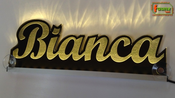 Ihr LED Wunschname "Bianca" Namensschild Leuchtschild Truckerschild