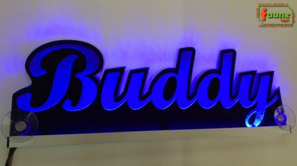 Ihr LED Wunschname "Buddy" Namensschild Leuchtschild Truckerschild
