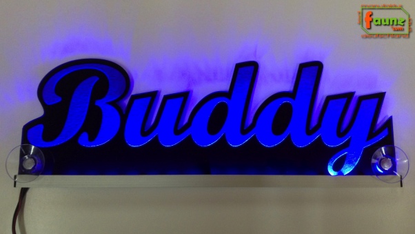 Ihr LED Wunschname "Buddy" Namensschild Leuchtschild Truckerschild