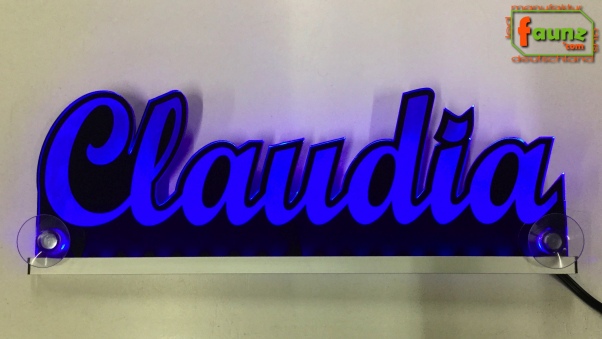 Ihr LED Wunschname "Claudia" Namensschild Leuchtschild Truckerschild