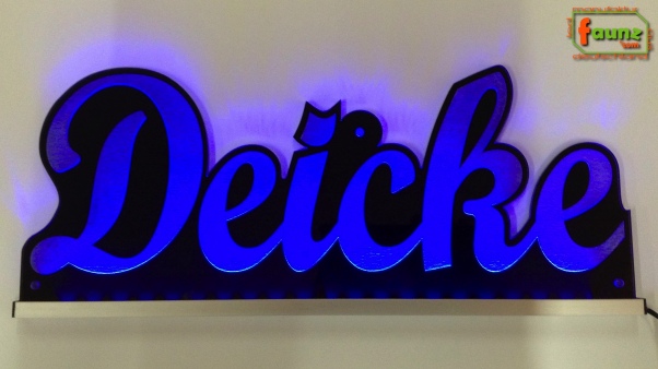 Ihr LED Wunschname "Deicke" Namensschild Leuchtschild Truckerschild