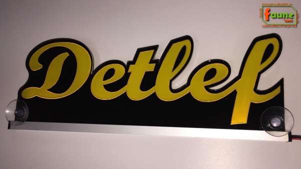 Ihr LED Wunschname "Detlef" Namensschild Leuchtschild Truckerschild