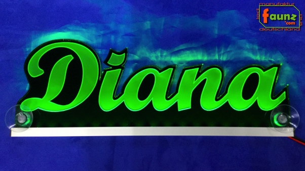Ihr LED Wunschname "Diana" Namensschild Leuchtschild Truckerschild