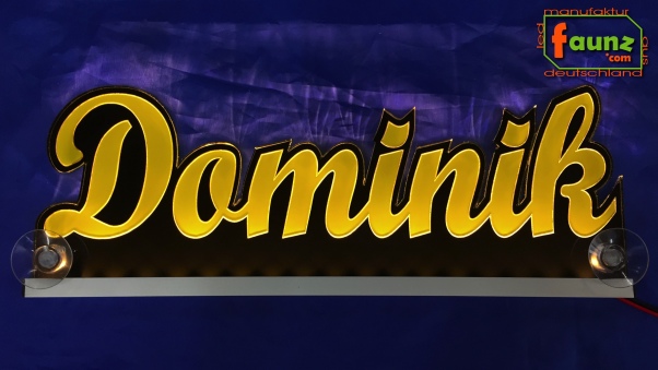 Ihr LED Wunschname "Dominik" Namensschild Leuchtschild Truckerschild