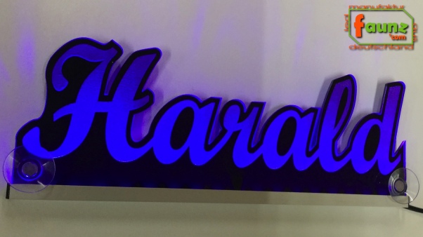 Ihr LED Wunschname "Harald" Namensschild Leuchtschild Truckerschild