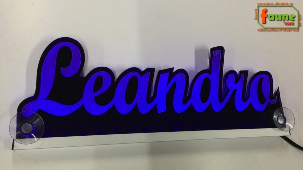 Ihr LED Wunschname "Leandro" Namensschild Leuchtschild Truckerschild