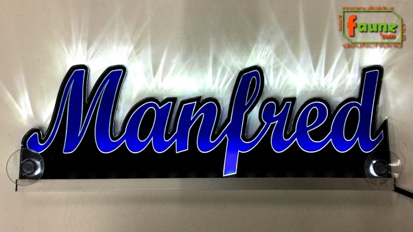 Ihr LED Wunschname "Manfred" Namensschild Leuchtschild Truckerschild