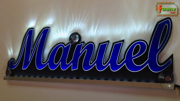 Ihr LED Wunschname "Manuel" Namensschild Leuchtschild Truckerschild