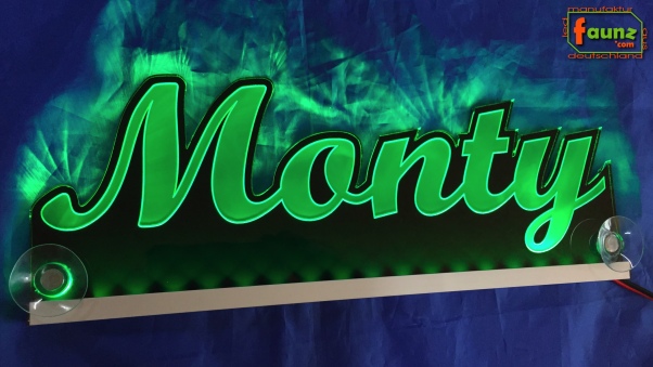 Ihr LED Wunschname "Monty" Namensschild Leuchtschild Truckerschild