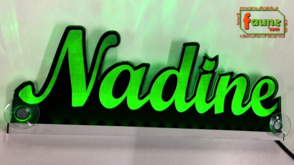 Ihr LED Wunschname "Nadine" Namensschild Leuchtschild Truckerschild