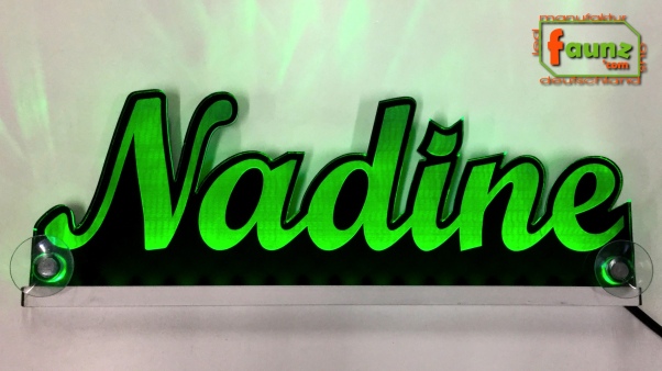 Ihr LED Wunschname "Nadine" Namensschild Leuchtschild Truckerschild