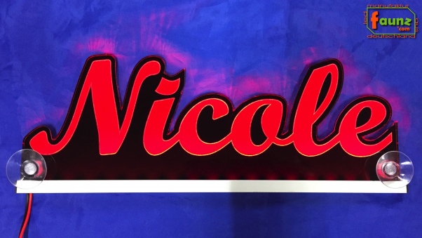 Ihr LED Wunschname "Nicole" Namensschild Leuchtschild Truckerschild