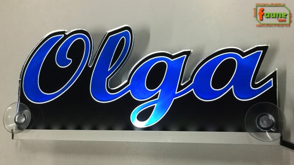 Ihr LED Wunschname "Olga" Namensschild Leuchtschild Truckerschild