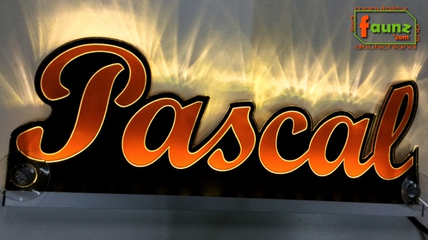 Ihr LED Wunschname "Pascal" Namensschild Leuchtschild Truckerschild