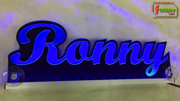 Ihr LED Wunschname "Ronny" Namensschild Leuchtschild Truckerschild