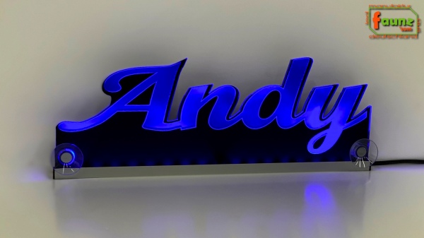 Ihr LED Wunschname "Andy" Namensschild Leuchtschild Truckerschild