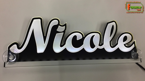 Ihr LED Wunschname "Nicole" Namensschild Leuchtschild Truckerschild