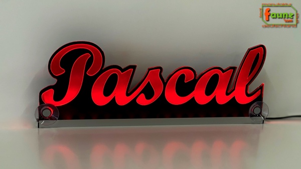 Ihr LED Wunschname "Pascal" Namensschild Leuchtschild Truckerschild