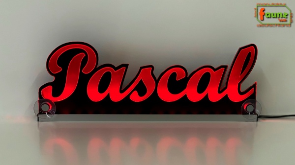Ihr LED Wunschname "Pascal" Namensschild Leuchtschild Truckerschild