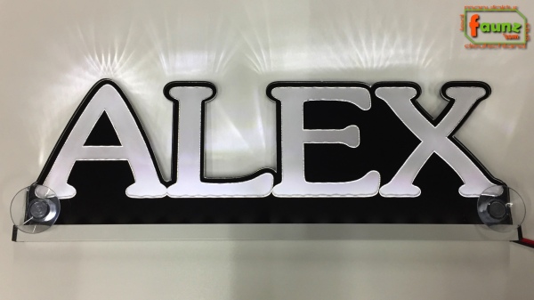 Ihr LED Wunschname "ALEX" Namensschild Leuchtschild Truckerschild Großbuchstaben als Konturschnitt