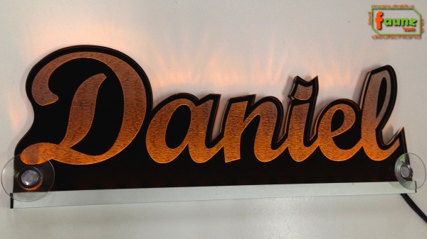 Ihr LED Wunschname "Daniel" Namensschild Leuchtschild Truckerschild