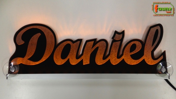 Ihr LED Wunschname "Daniel" Namensschild Leuchtschild Truckerschild