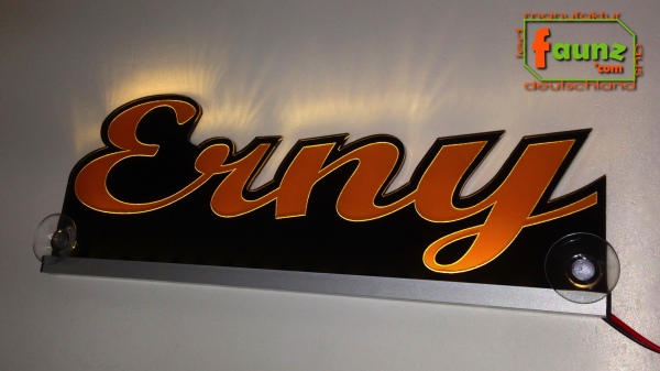 Ihr LED Wunschname "Erny" Namensschild Leuchtschild Truckerschild