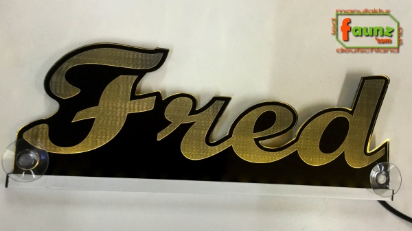 Ihr LED Wunschname "Fred" Namensschild Leuchtschild Truckerschild