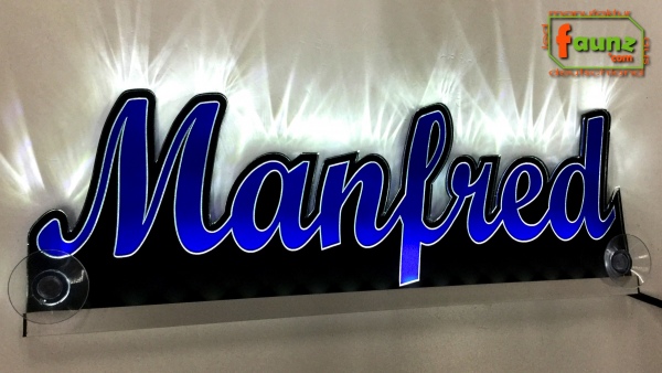 Ihr LED Wunschname "Manfred" Namensschild Leuchtschild Truckerschild