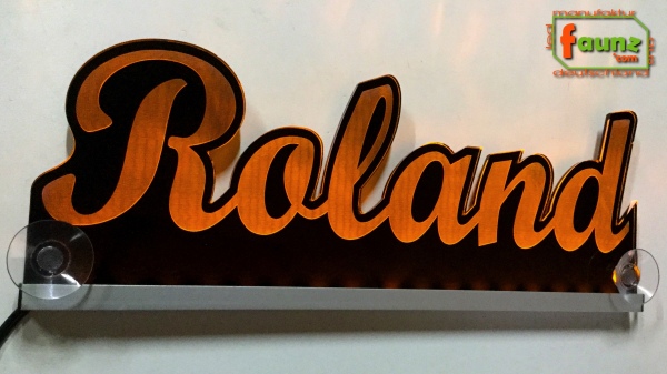 Ihr LED Wunschname "Roland" Namensschild Leuchtschild Truckerschild