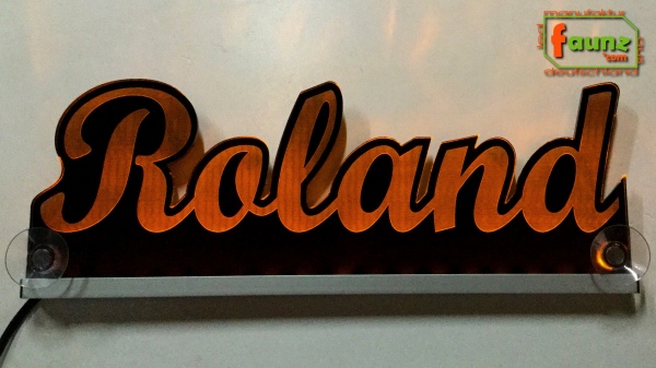 Ihr LED Wunschname "Roland" Namensschild Leuchtschild Truckerschild