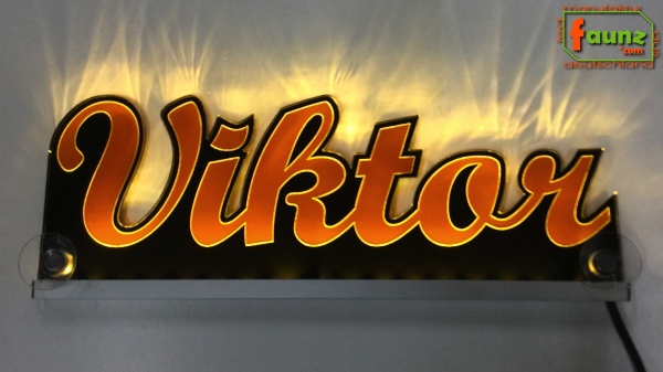 Ihr LED Wunschname "Viktor" Namensschild Leuchtschild Truckerschild